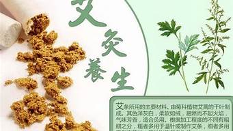 健身指导 第6页